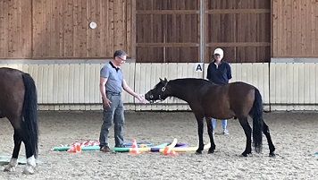 PERDEGESTÜTZE TEAMENTWICKLUNG